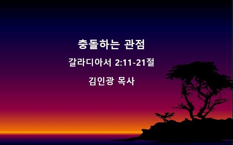 "충돌하는 관점" 썸네일