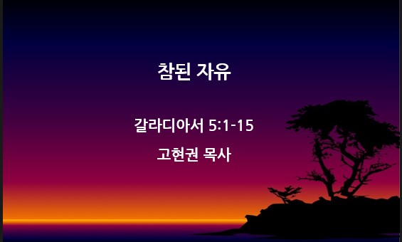 "참된 자유" 썸네일