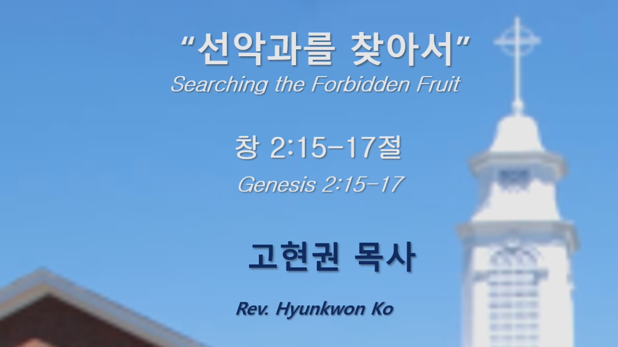 "선악과를 찾아서" 썸네일