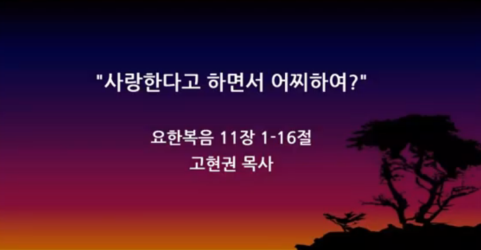 "사랑한다고 하면서 어찌하여!" 썸네일