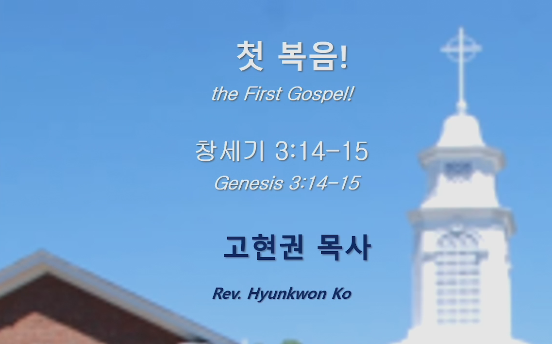"첫 복음!" 썸네일