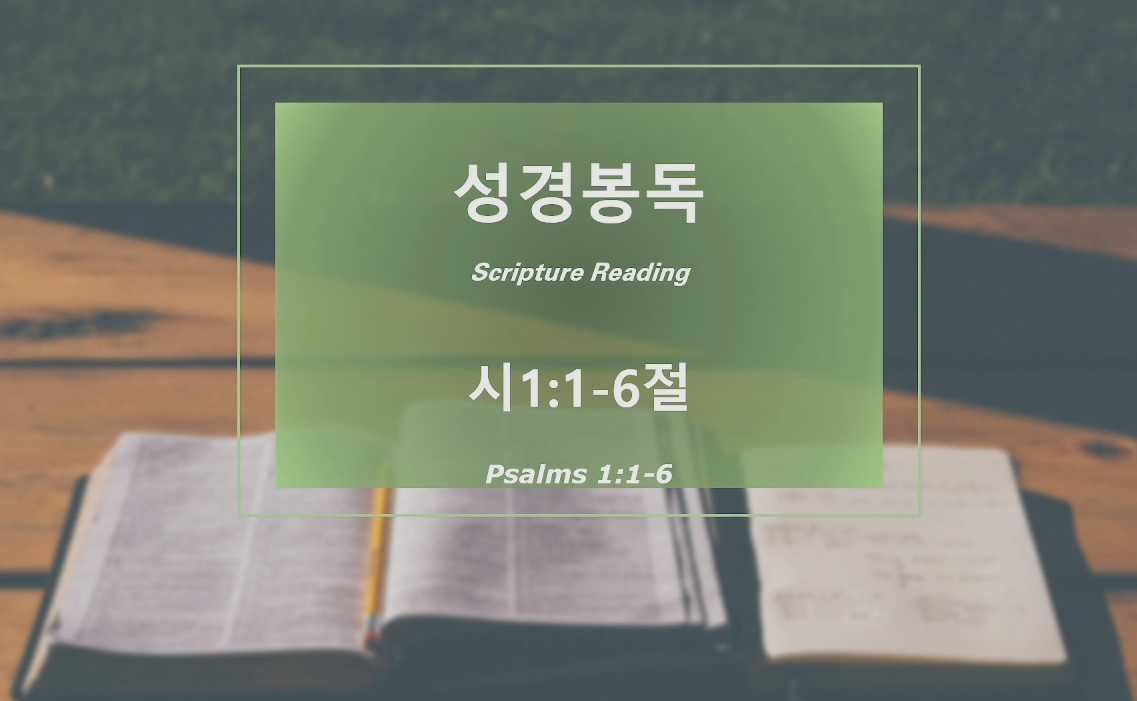 "복있는 사람" 썸네일