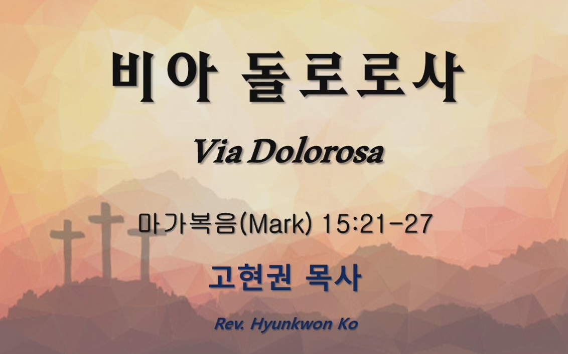 "비아 돌로로사" 썸네일